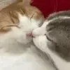 😘