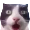 😲