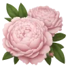 💐