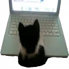 💻