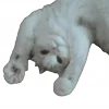 🐱