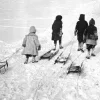 🛷