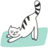 🤸‍♀