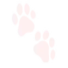 🐾