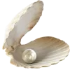 🐚