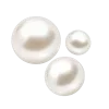 🐚