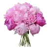 💐