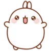 🐰