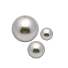 🐚