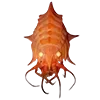🦞