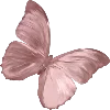 🦋