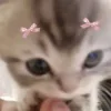 🎀