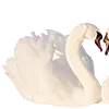 🦢