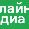 ❇️