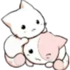 🐱