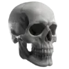 🪱