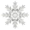 ❄️