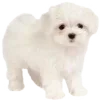 🐶