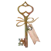 🔑
