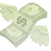 💸