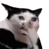 😱