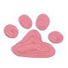 🐾