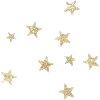 🌟
