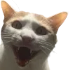 😃