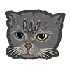 🐈