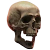 🪱