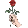 🌹