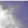 🟪