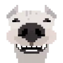 🦴