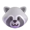 🦝