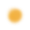 🟡
