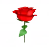 🌹