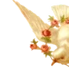 🌟