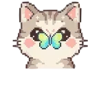 😻