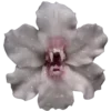 💐