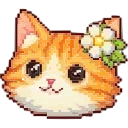 🐱