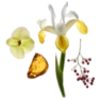 💐