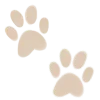 🐾