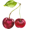 🍒