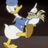 💵
