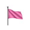 🚩