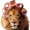 🦁