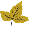 🍂
