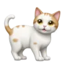 🐈