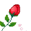 🌹