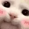 🥰